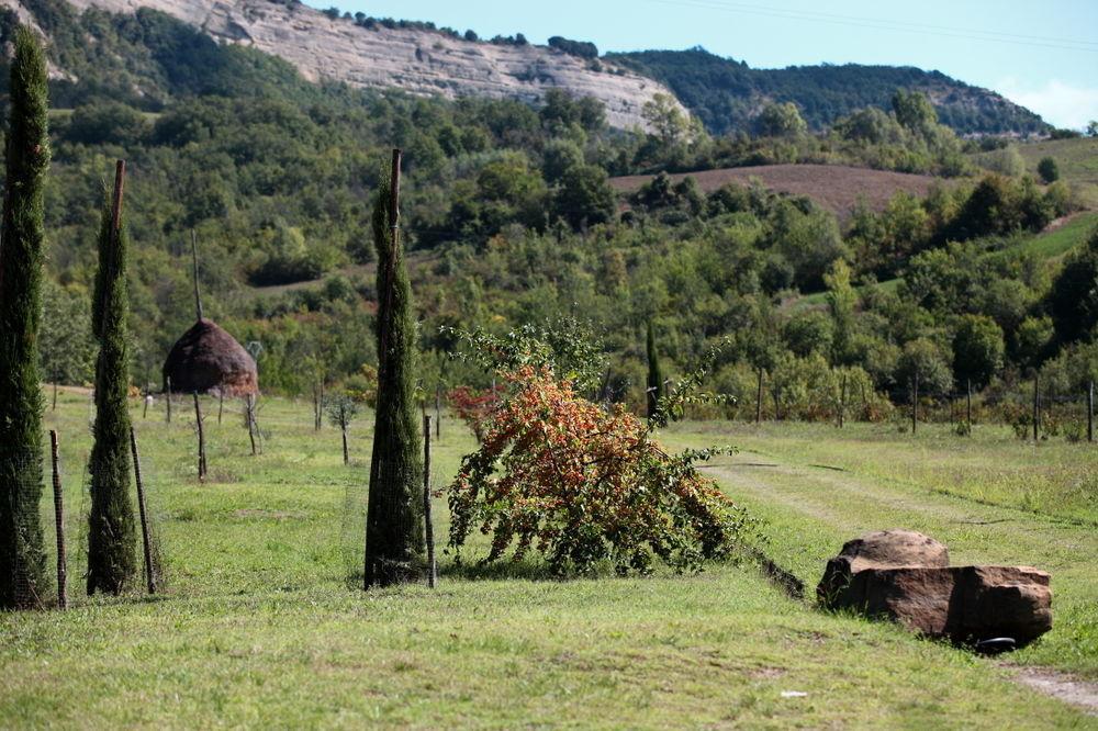 Locanda Dei Cinque Cerri Sasso Marconi Zewnętrze zdjęcie